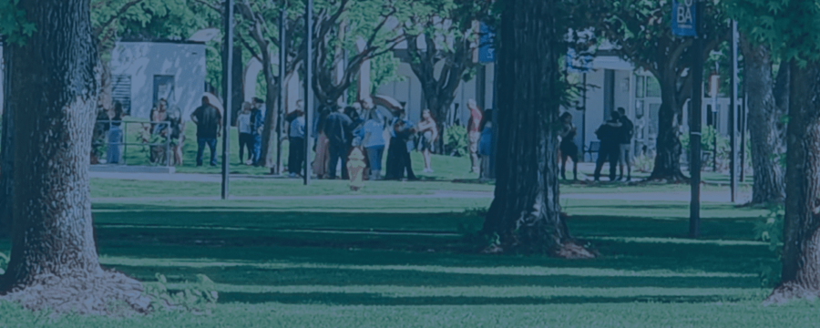 decorative trees with students in the distance